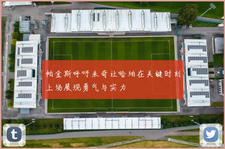 帕金斯呼吁米奇让哈珀在关键时刻上场展现勇气与实力